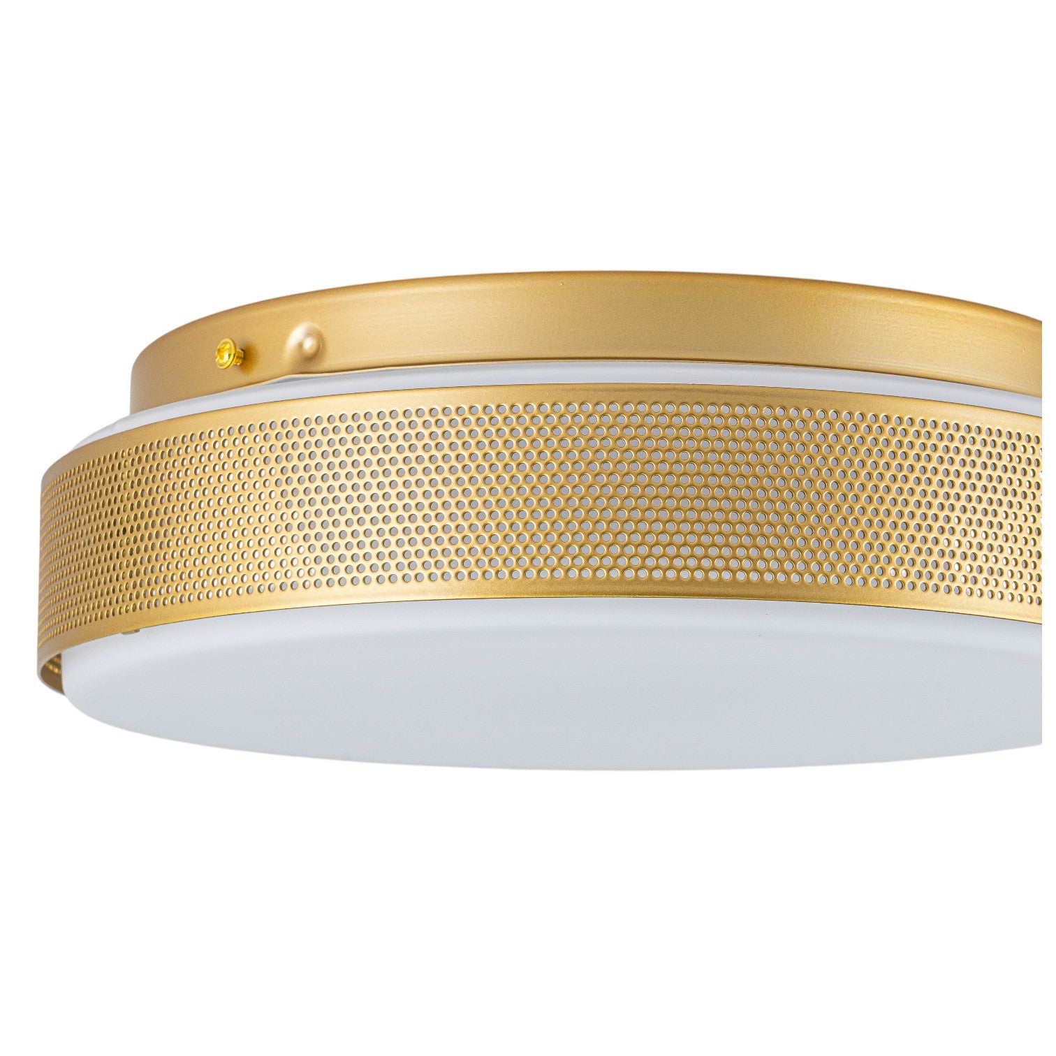 Glowlings 1-Light Modern 12"Wide Gold Round Opal Glass LED Flush Mount with 5-CCT Selectable Switch