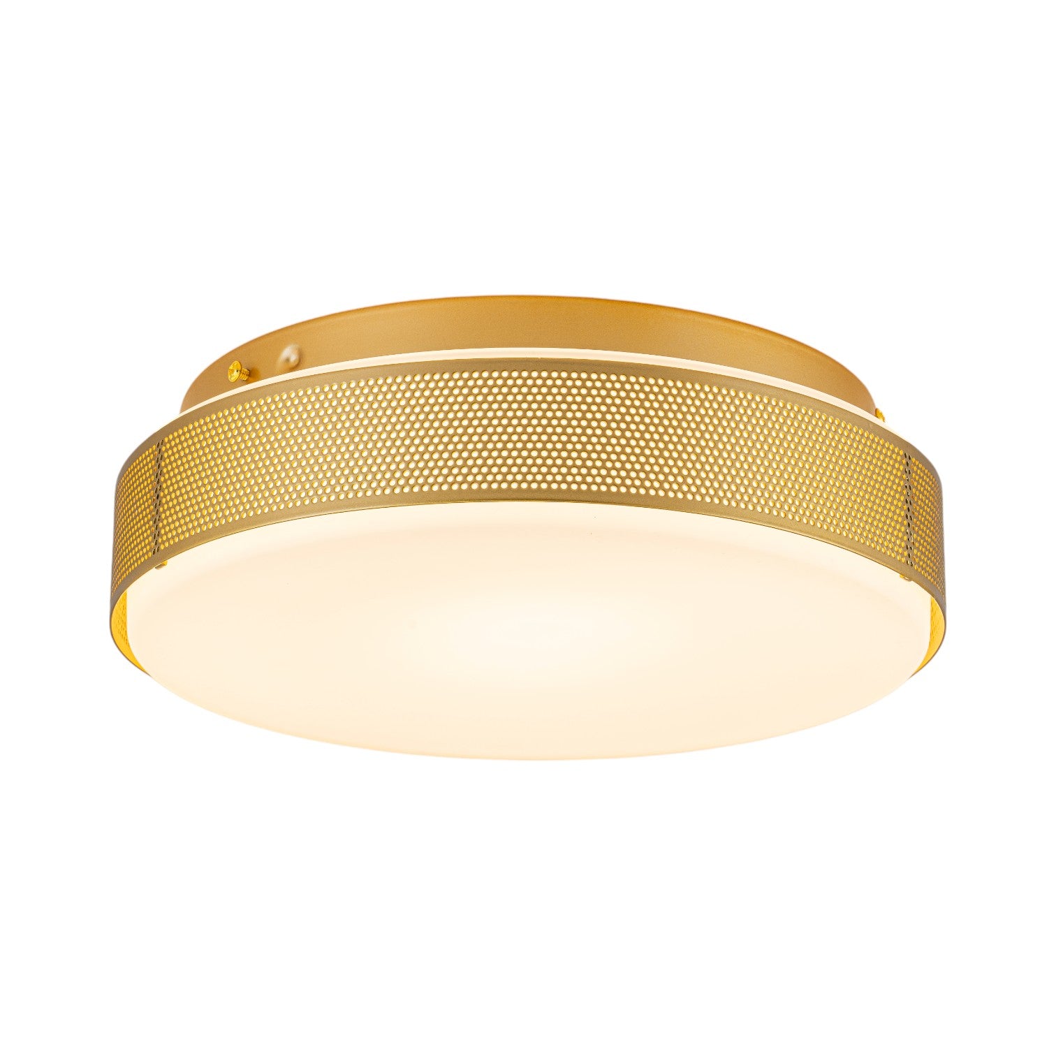 Glowlings 1-Light Modern 12"Wide Gold Round Opal Glass LED Flush Mount with 5-CCT Selectable Switch