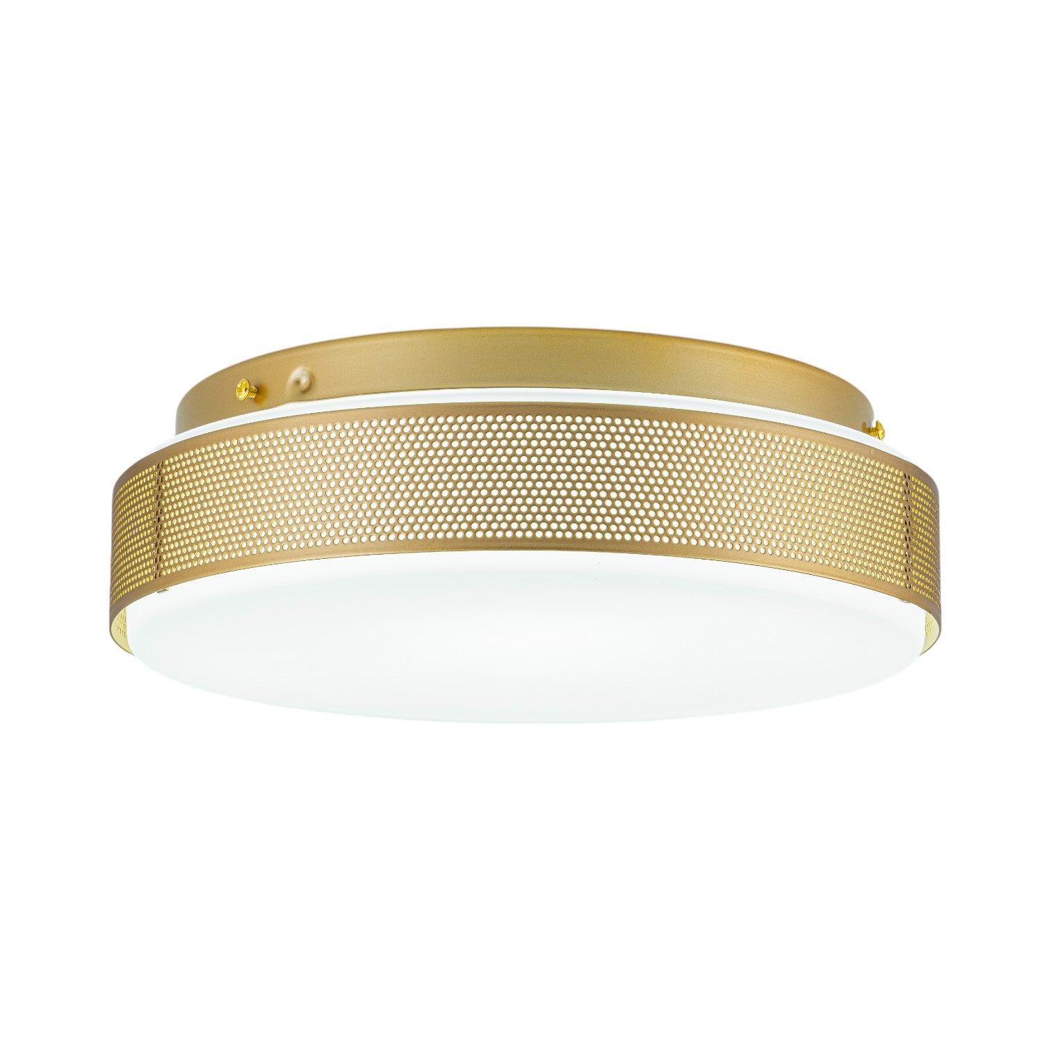 Glowlings 1-Light Modern 12"Wide Gold Round Opal Glass LED Flush Mount with 5-CCT Selectable Switch