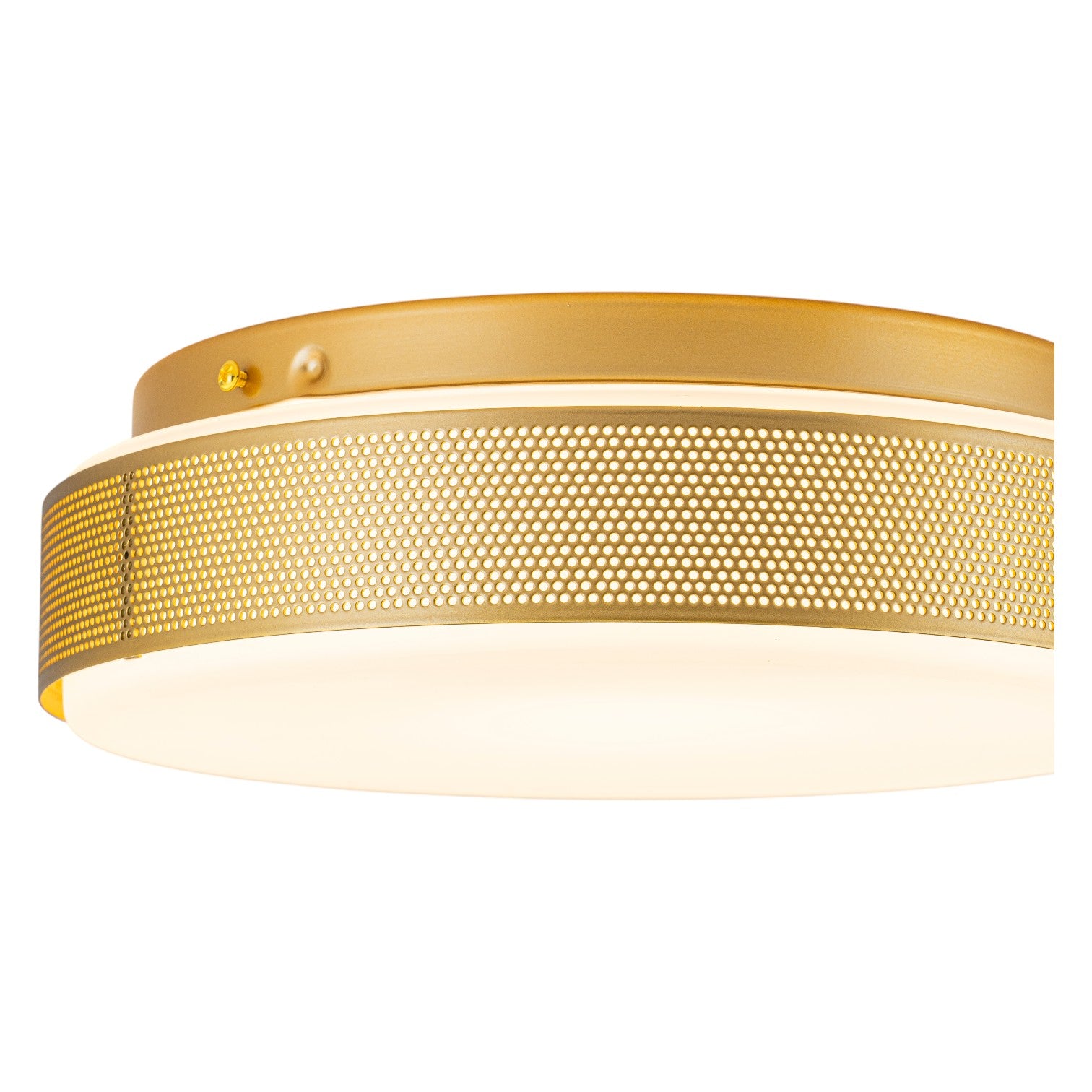 Glowlings 1-Light Modern 12"Wide Gold Round Opal Glass LED Flush Mount with 5-CCT Selectable Switch