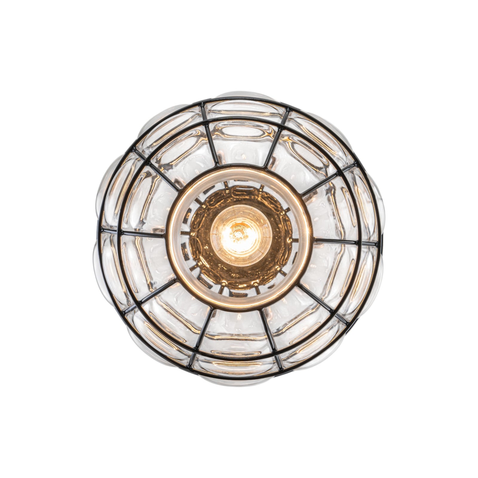 Glowlings 1-Light Industrial Cage Clear Glass Bubble Small Pendant Light Island Light