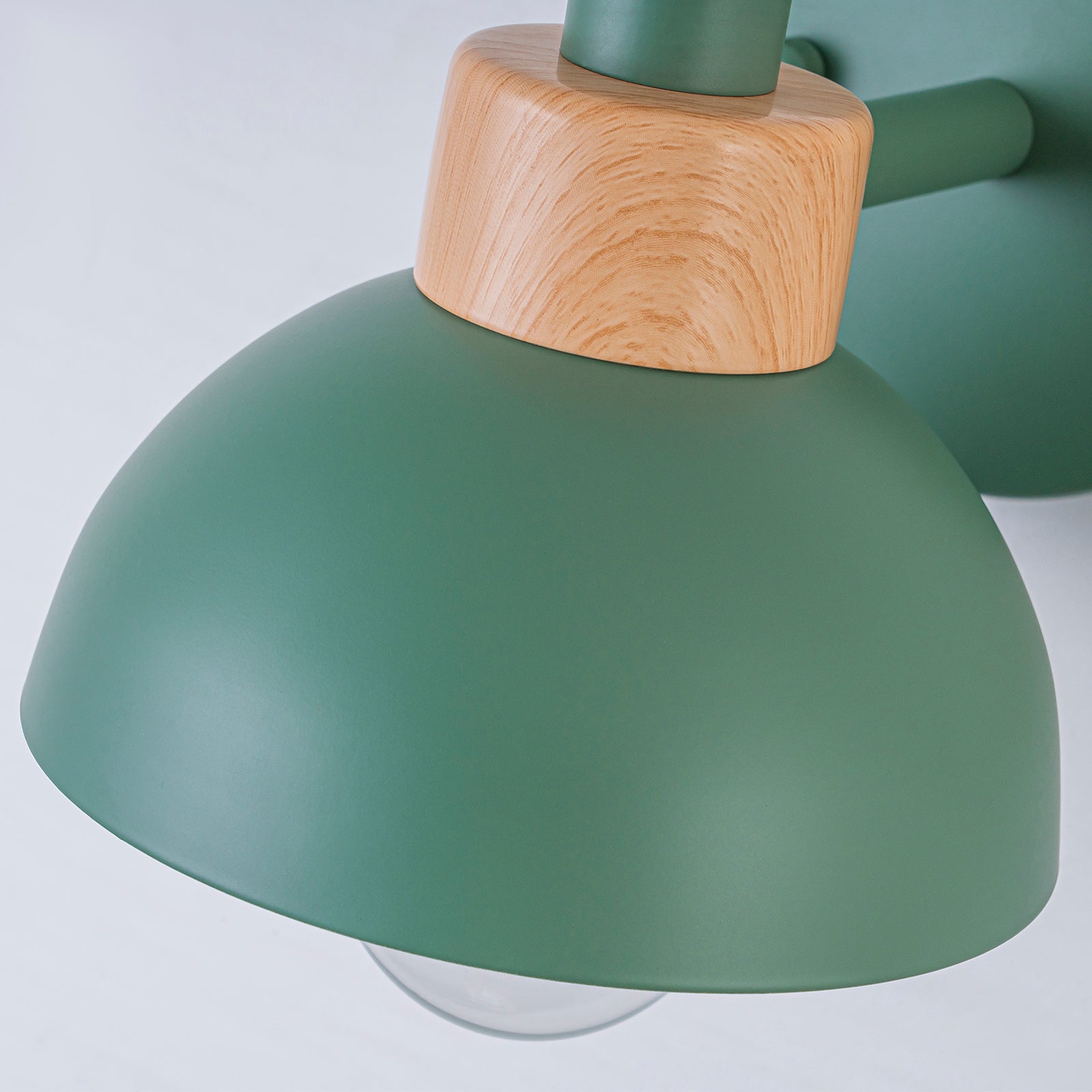 Glowlings 1-Light Modern Macaroon Green Dome Indoor/Outdoor Wall Sconce with Wooden Accent