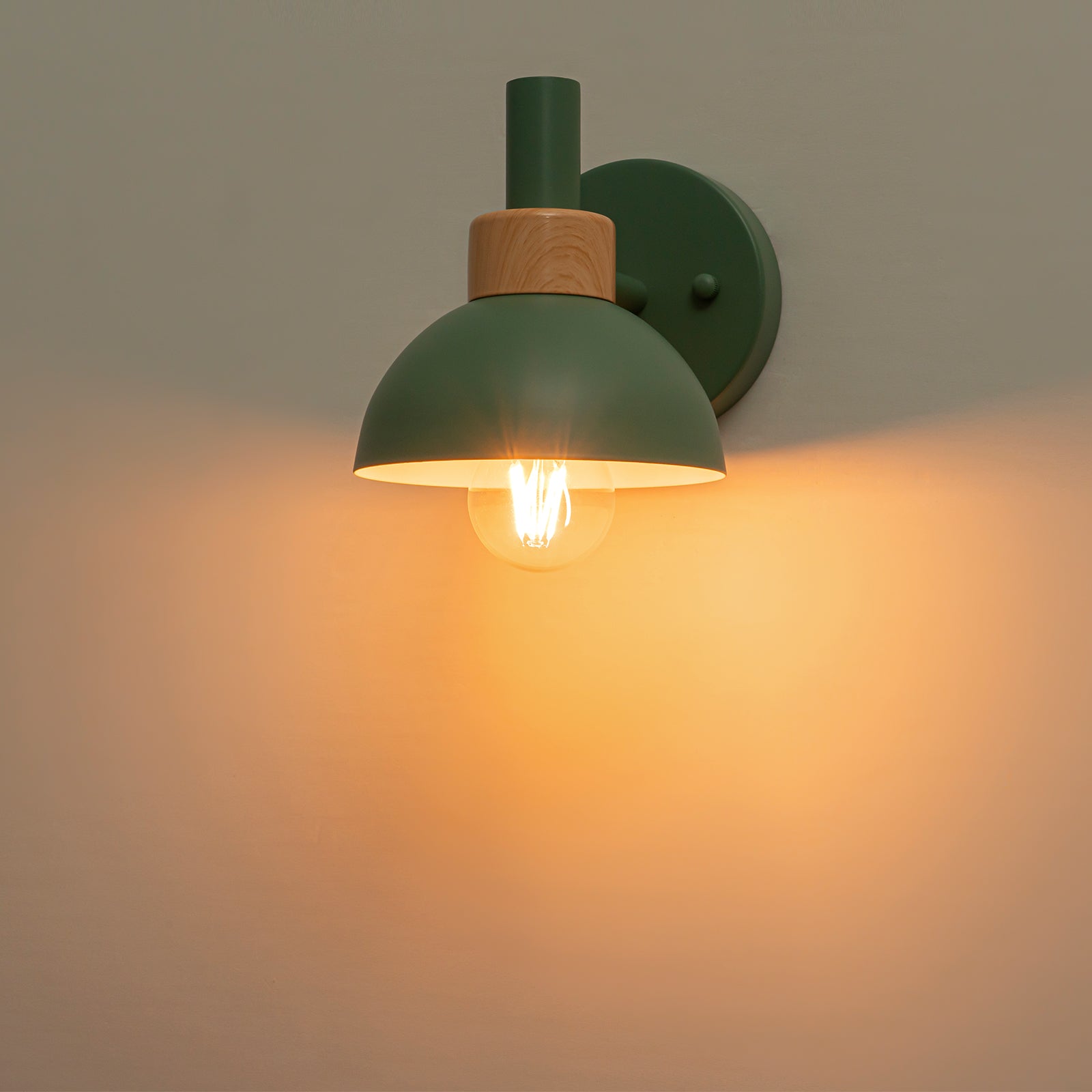 Glowlings 1-Light Modern Macaroon Green Dome Indoor/Outdoor Wall Sconce with Wooden Accent