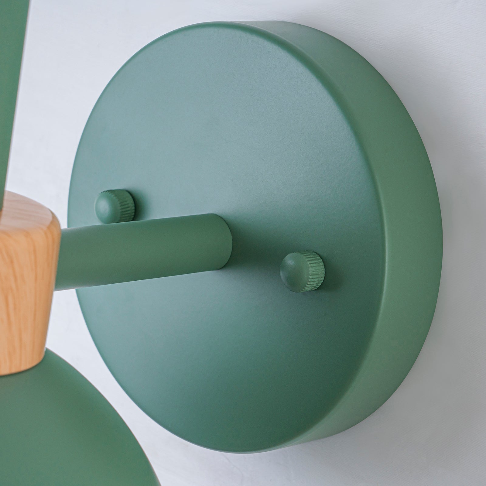 Glowlings 1-Light Modern Macaroon Green Dome Indoor/Outdoor Wall Sconce with Wooden Accent