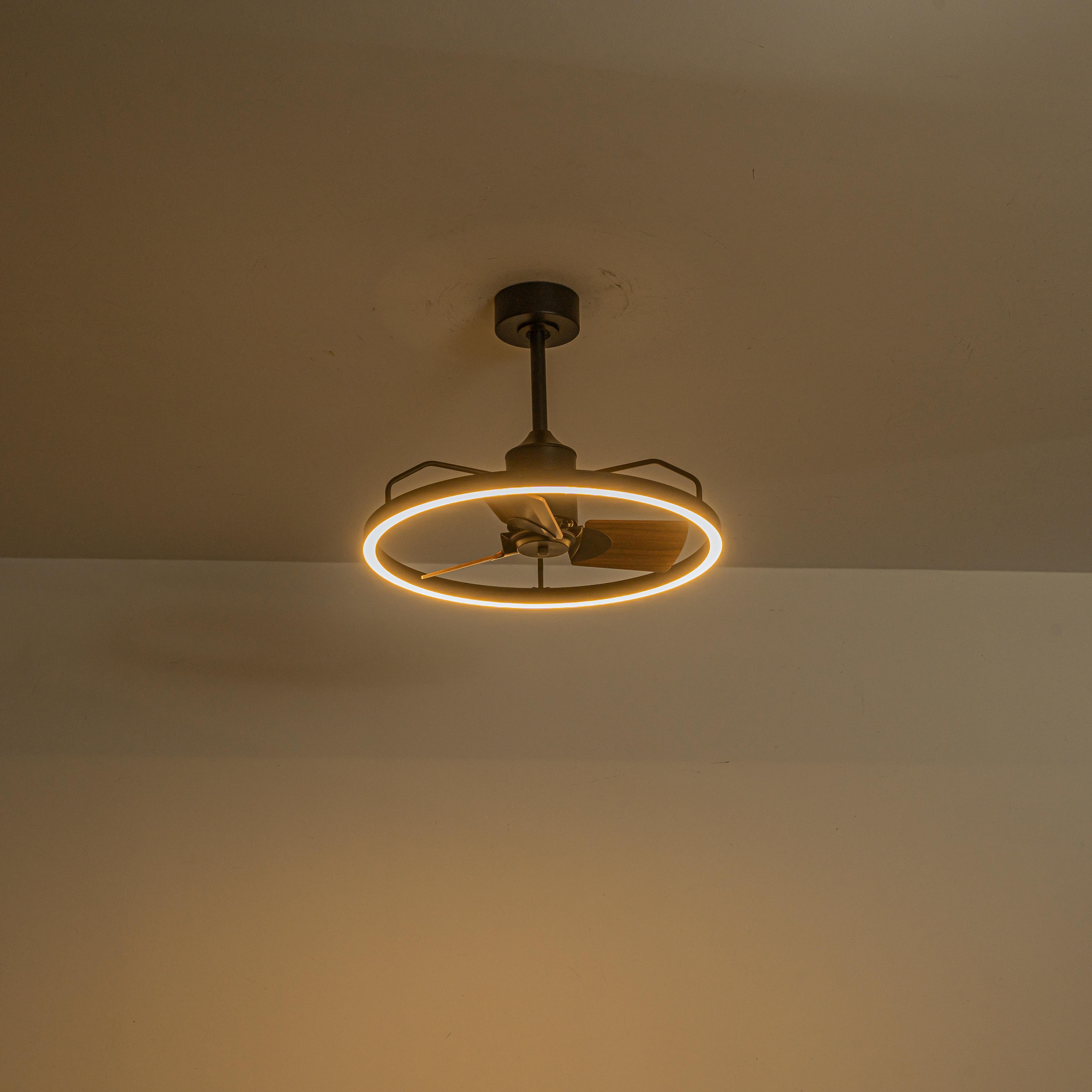 Glowlings 1-Light Modern 24"Wide Dimmable Ring LED Ceiling Fan with Light Remote Wood Blades