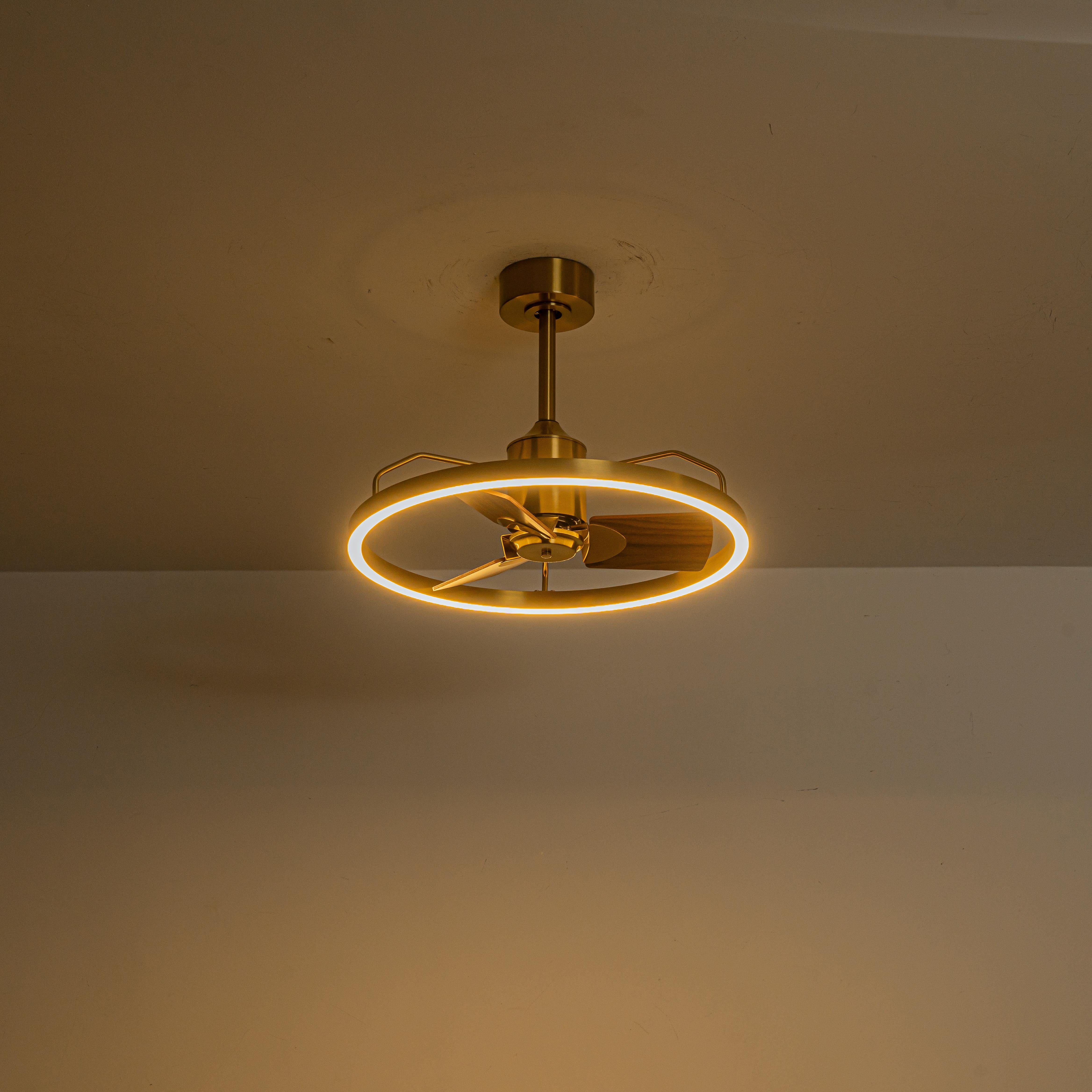 Glowlings 1-Light Modern 24"Wide Dimmable Ring LED Ceiling Fan with Light Remote Wood Blades