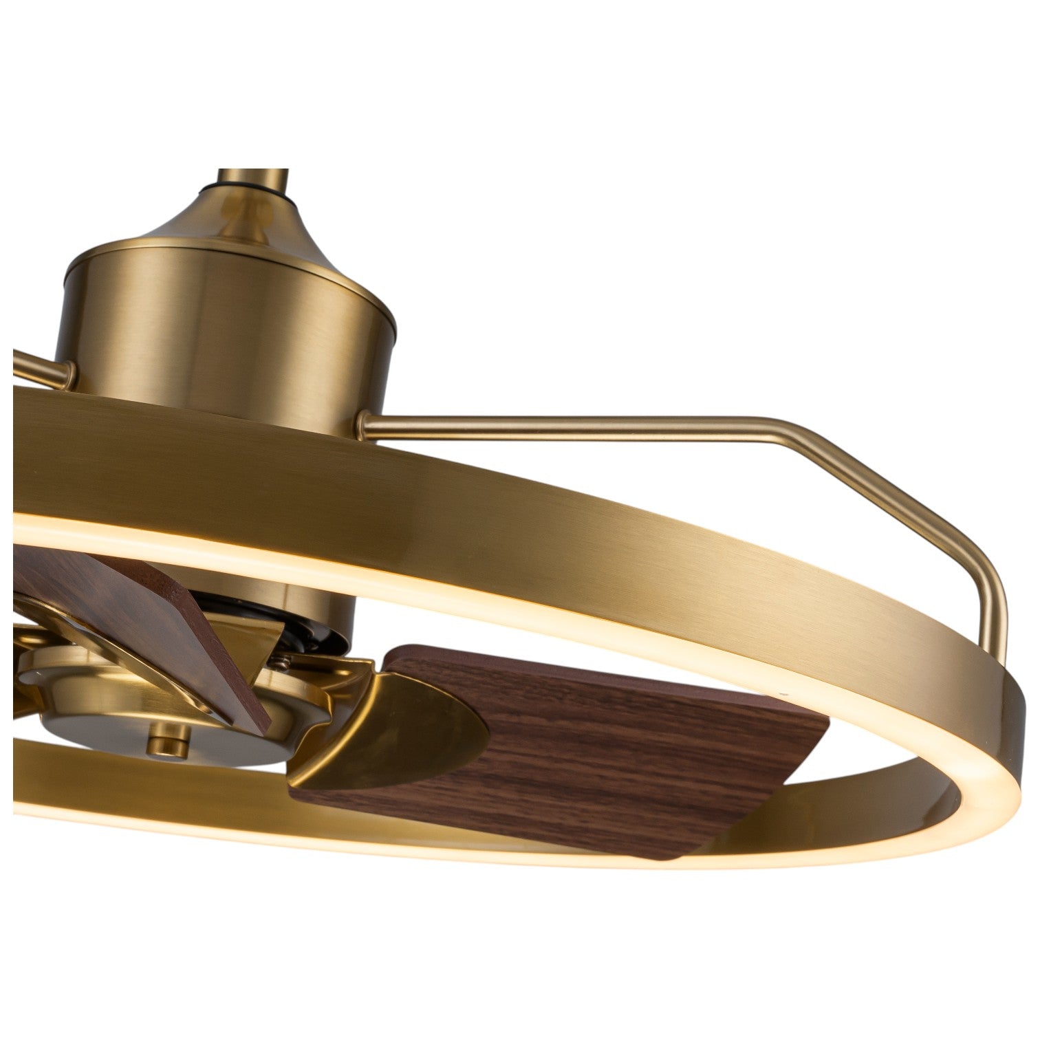 Glowlings 1-Light Modern 24"Wide Dimmable Ring LED Ceiling Fan with Light Remote Wood Blades