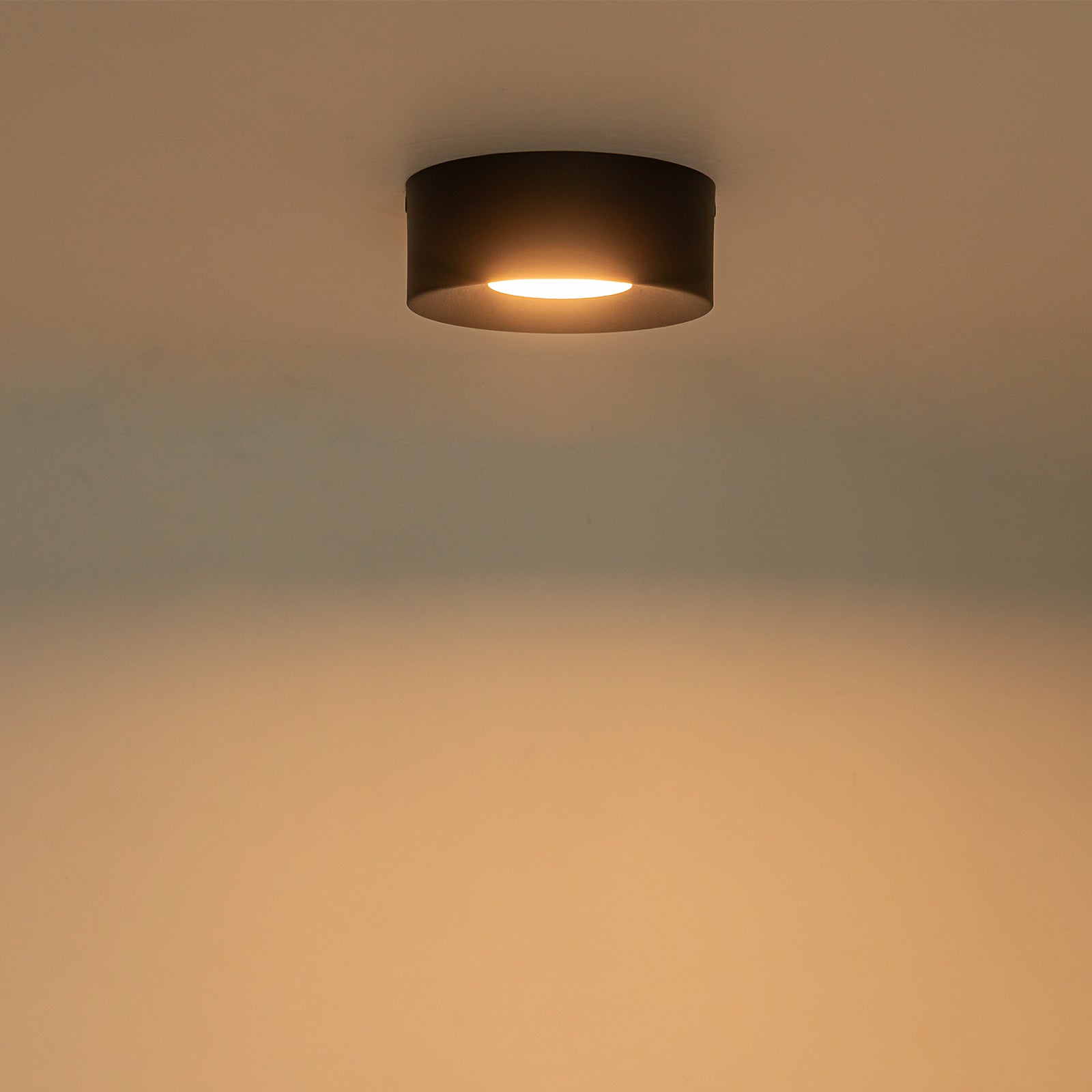 Glowlings 1-Light Modern Matte Black Mini LED Flush Mount Ceiling Light