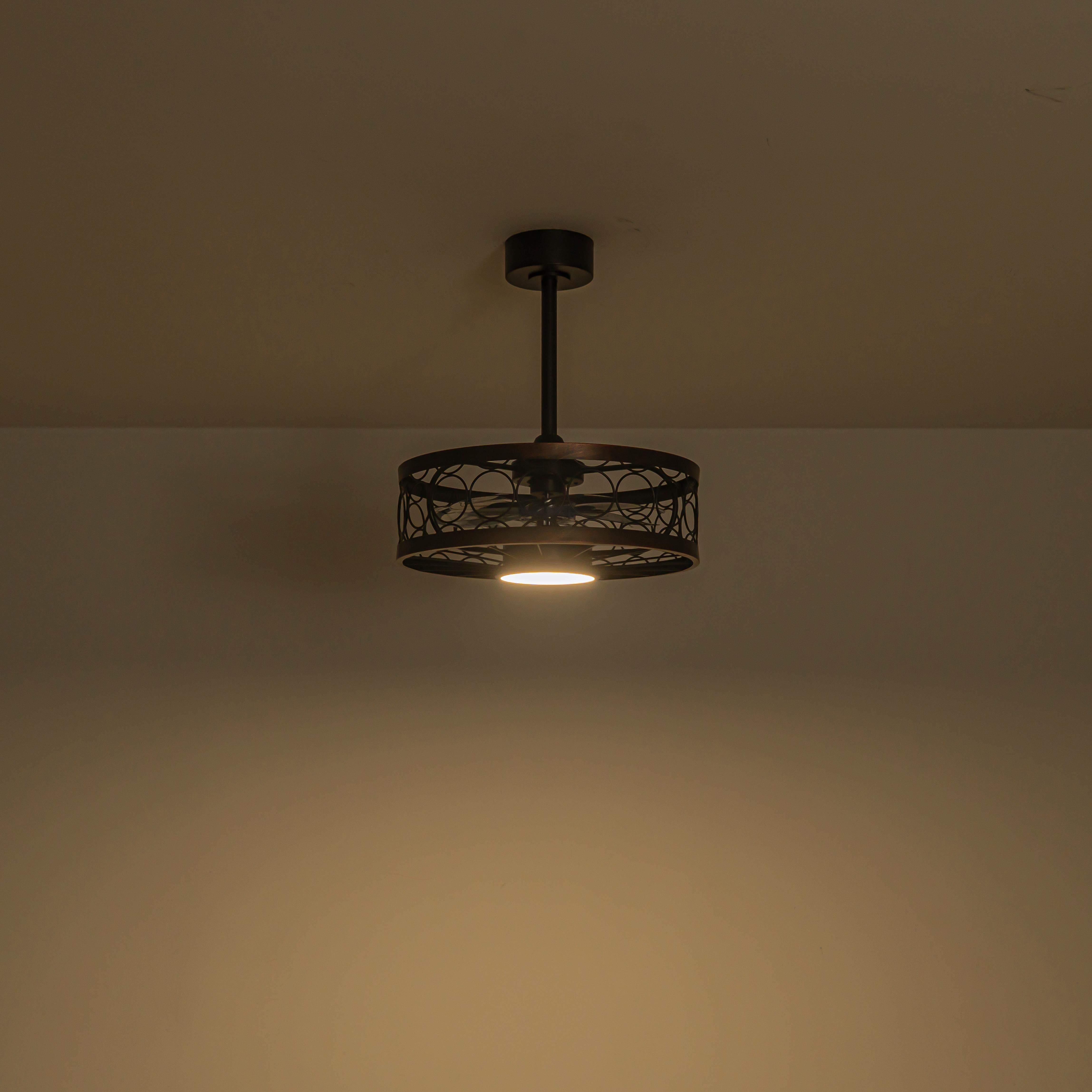 Glowlings 1-Light Industrial 20''Wide Black Caged LED 3CCT Indoor Ceiling Fan with Light