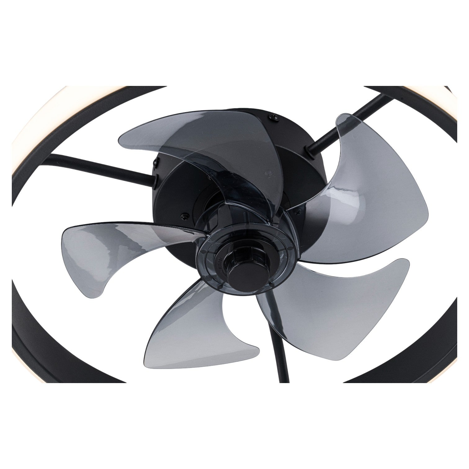 Glowlings 1-Light Modern Black Round LED Ceiling Fan with Light Remote Control