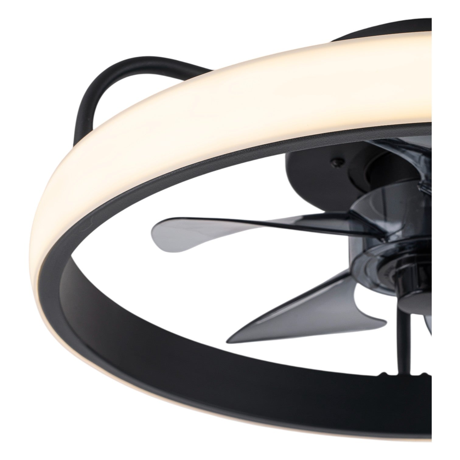 Glowlings 1-Light Modern Black Round LED Ceiling Fan with Light Remote Control