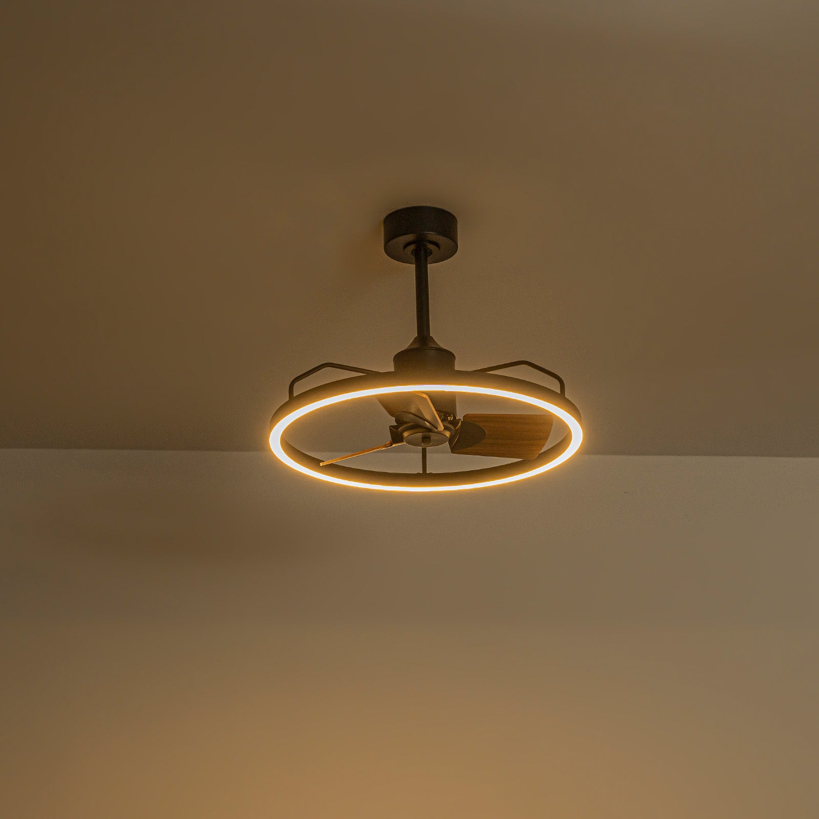 Glowlings 1-Light Modern 24"Wide Dimmable Ring LED Ceiling Fan with Light Remote Wood Blades