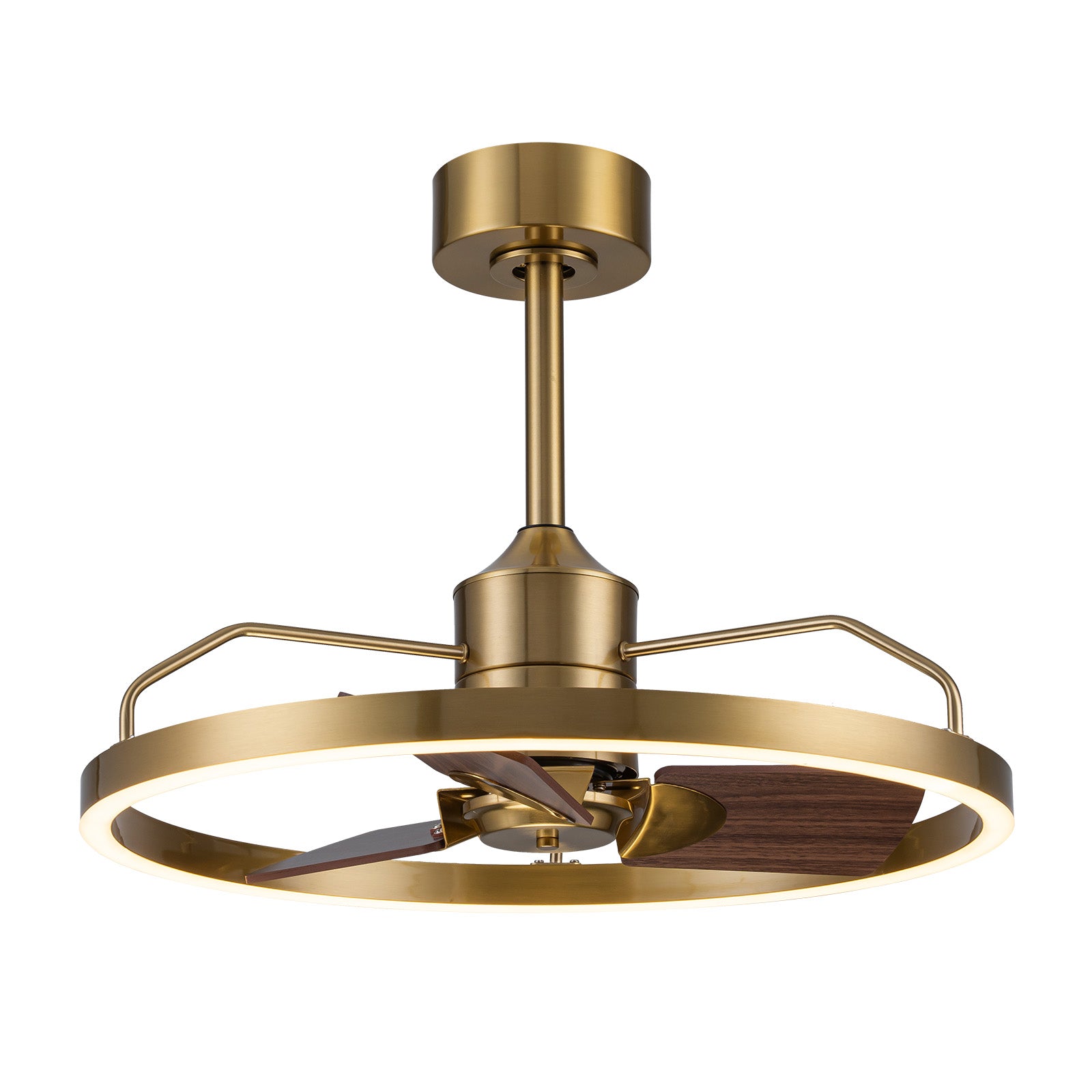Glowlings 1-Light Modern 24"Wide Dimmable Ring LED Ceiling Fan with Light Remote Wood Blades