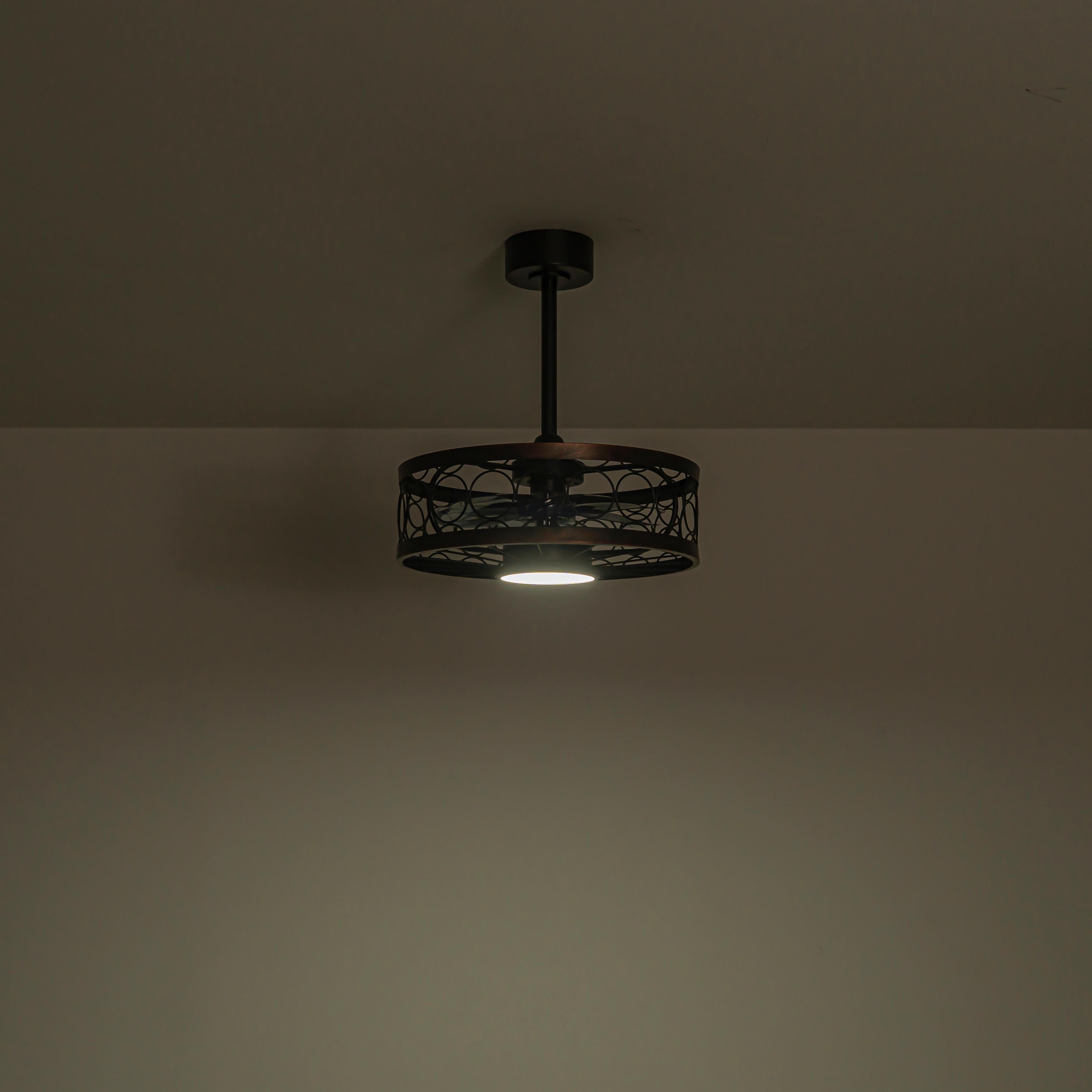 Glowlings 1-Light Industrial 20''Wide Black Caged LED 3CCT Indoor Ceiling Fan with Light