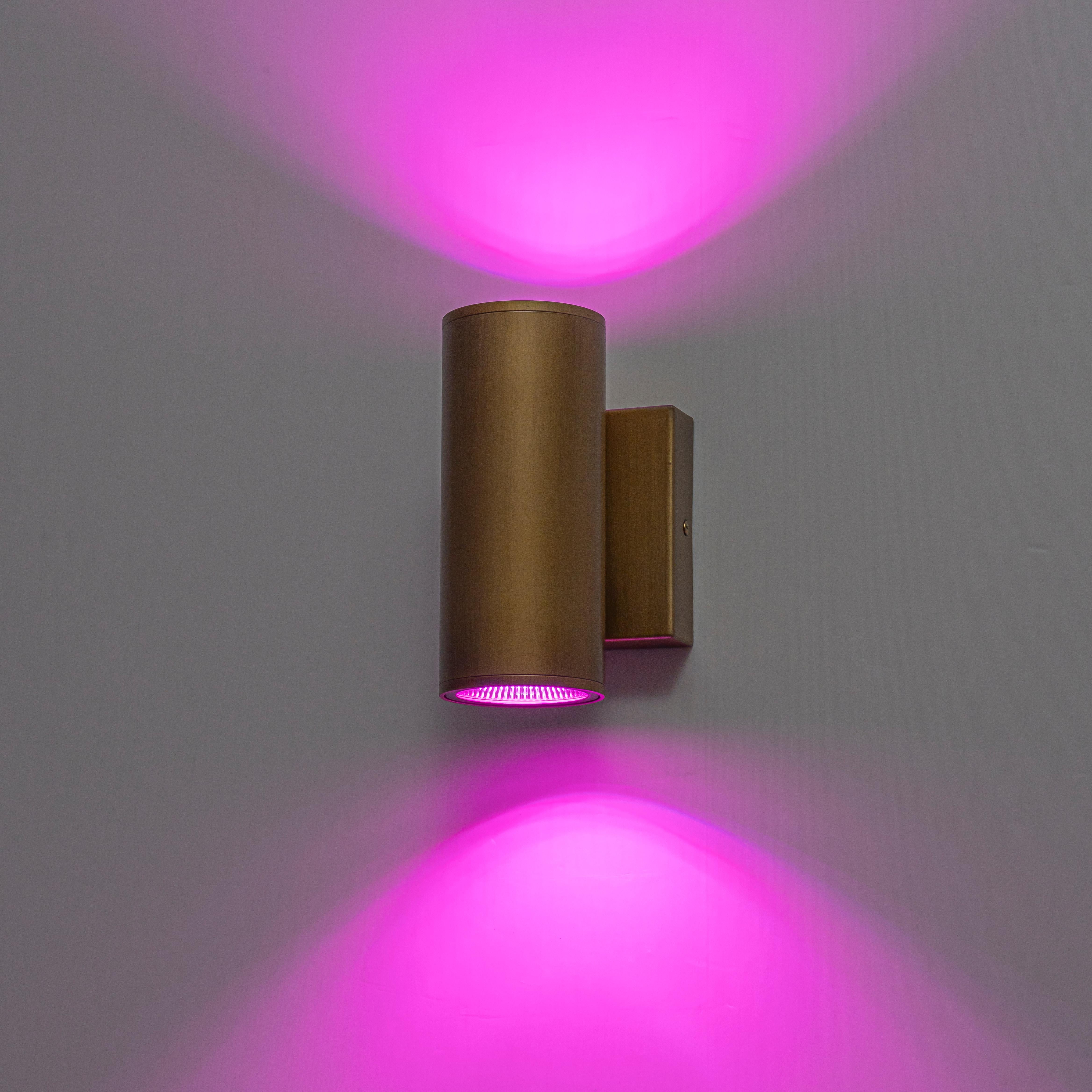 Glowlings 2-Light Modern LED Outdoor Cylinder Armed Wall Sconce